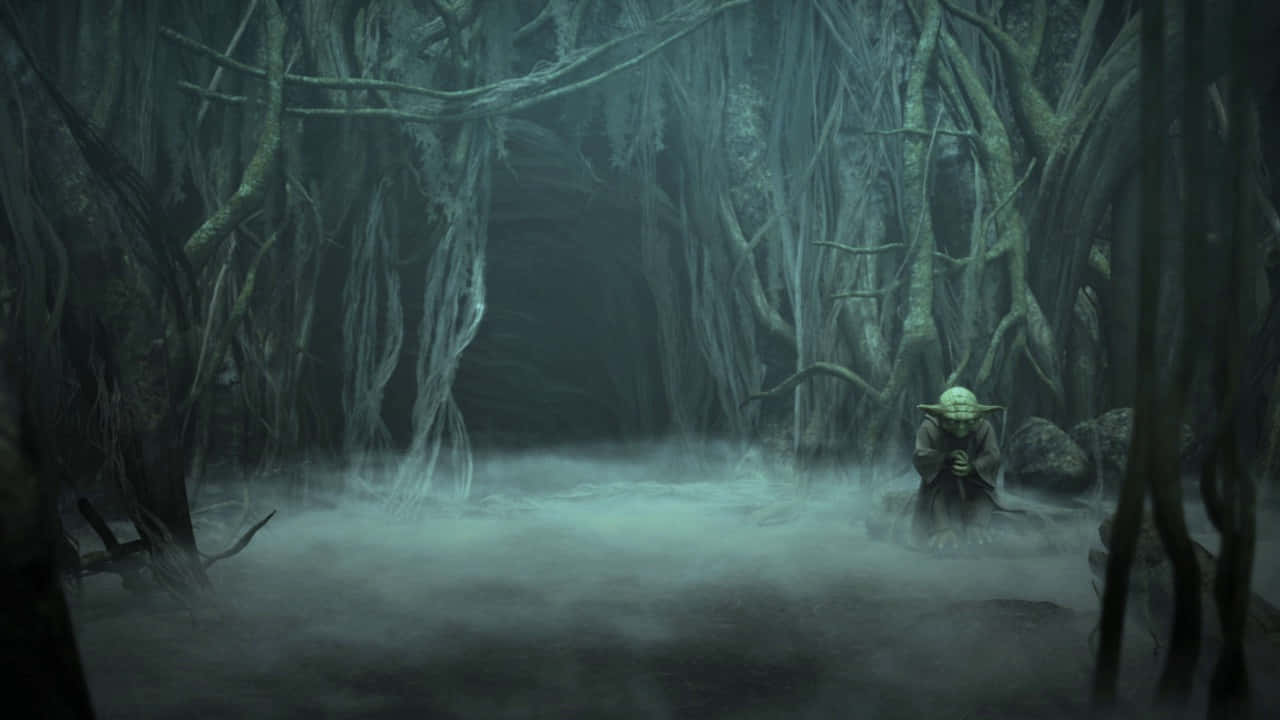 Swampy Wonderland - The Mysterious Planet of Dagobah Wallpaper