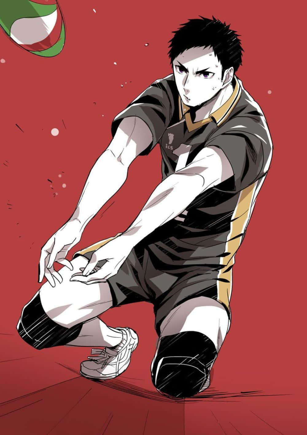 Daichi Sawamura, the reliable Karasuno Volleyball Team captain Wallpaper