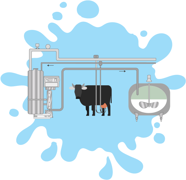 Download Dairy Cow Milking Process Illustration | Wallpapers.com