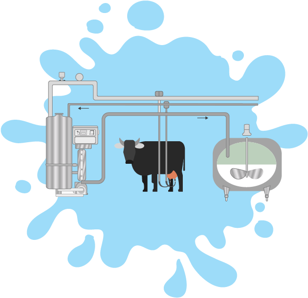 Dairy Cow Milking Process Illustration PNG