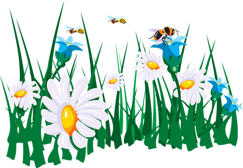 Daisies_and_ Bees_ Vector_ Illustration PNG