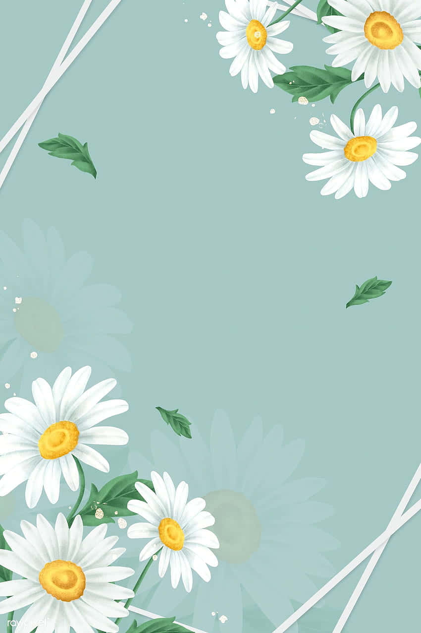 Criss Cross And Daisies Background