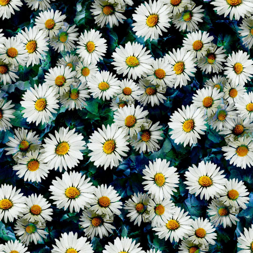 Blue Liquid Effect With Daisies Background
