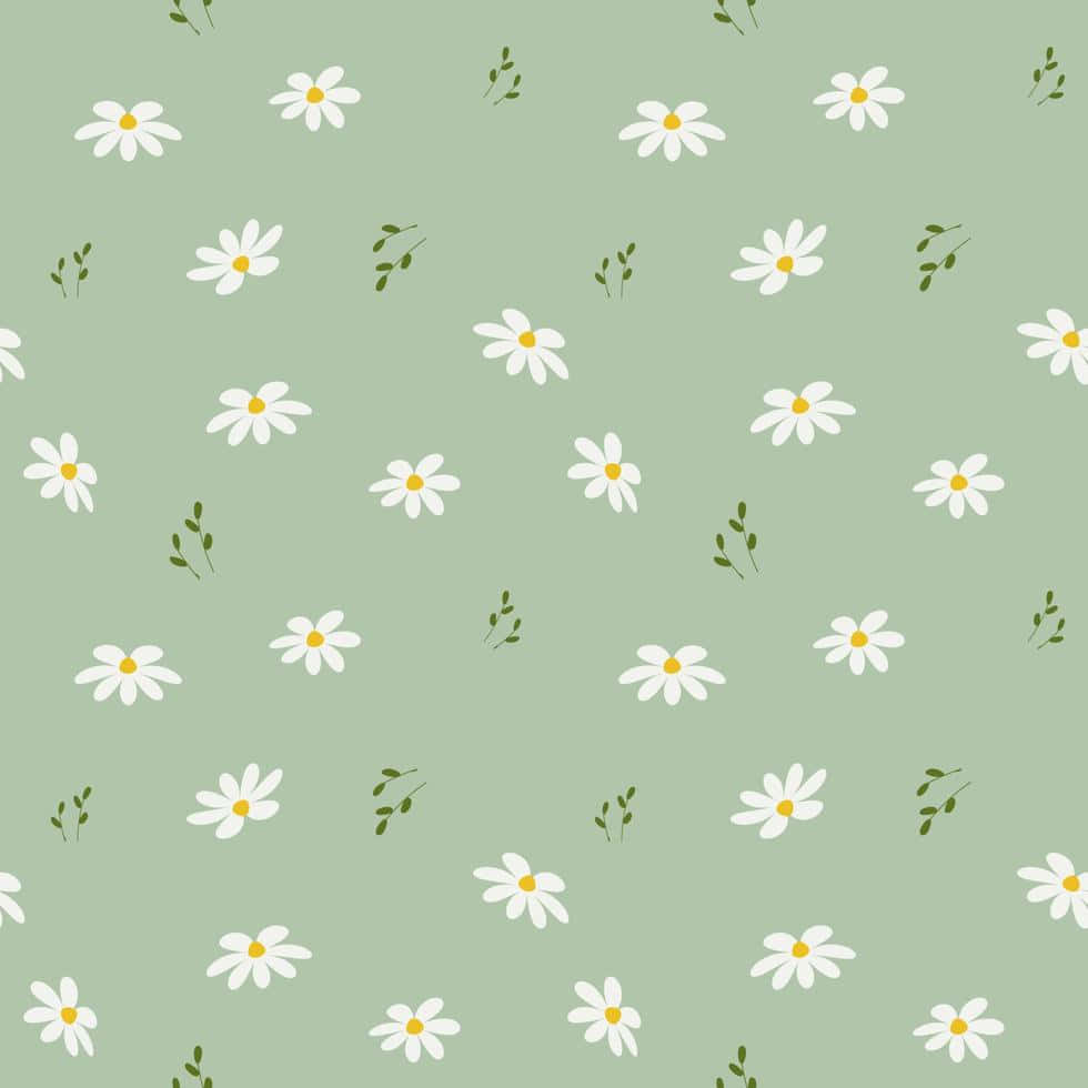 Small Fern Plants And Daisies Background 980 x 980 Background