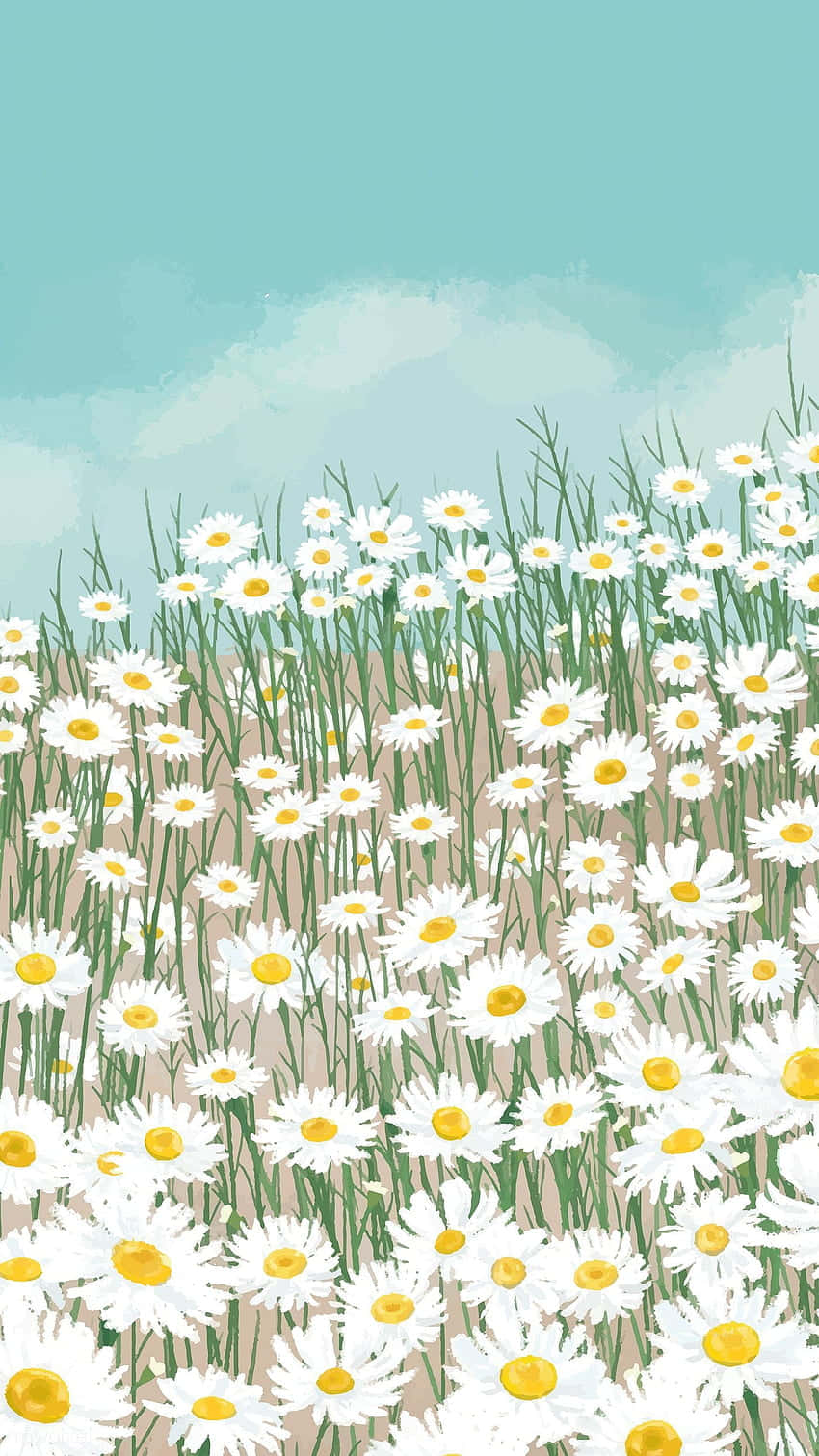 Field Of Daisies Background 850 x 1511 Background