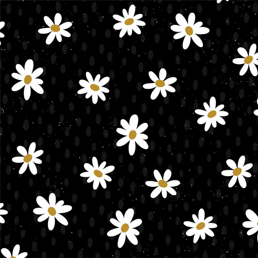 Simple Black With Daisies Background