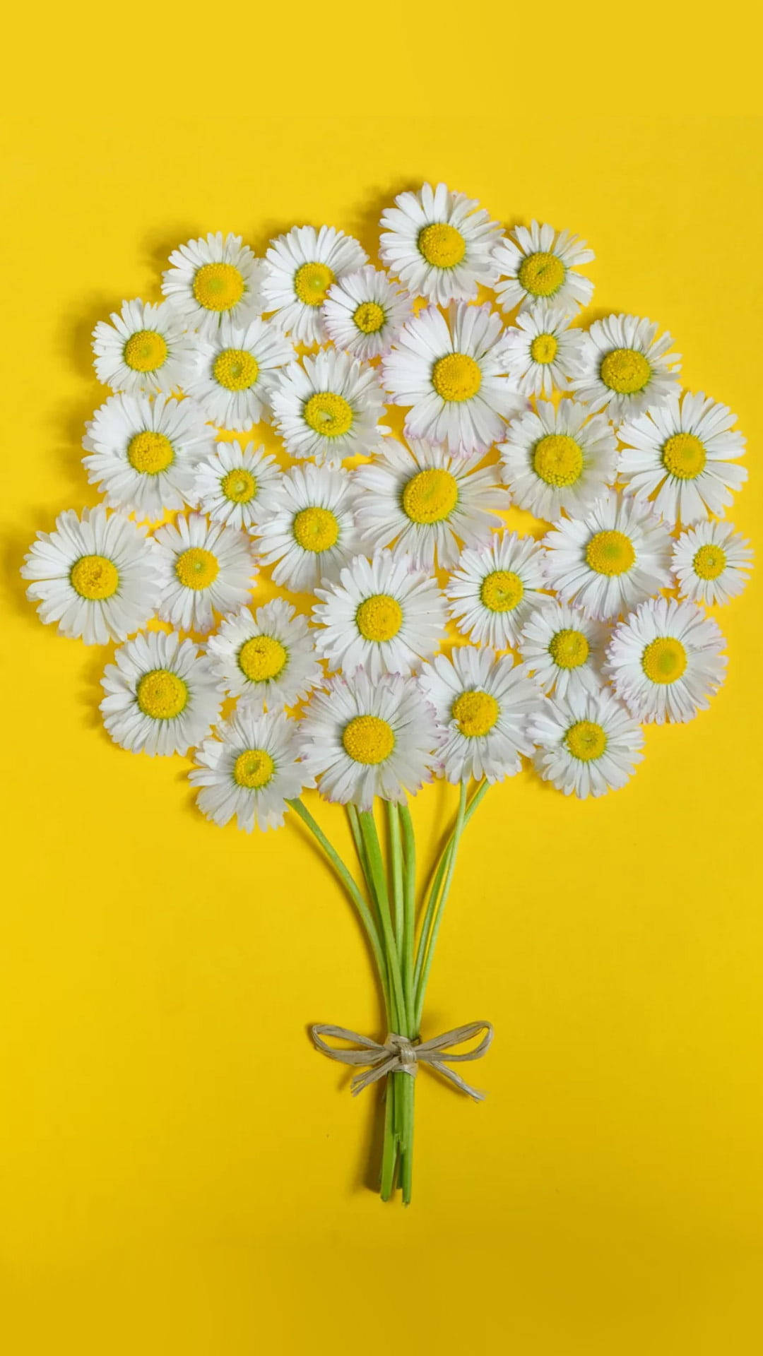 Blommorgula Enfärgade Iphone Wallpaper
