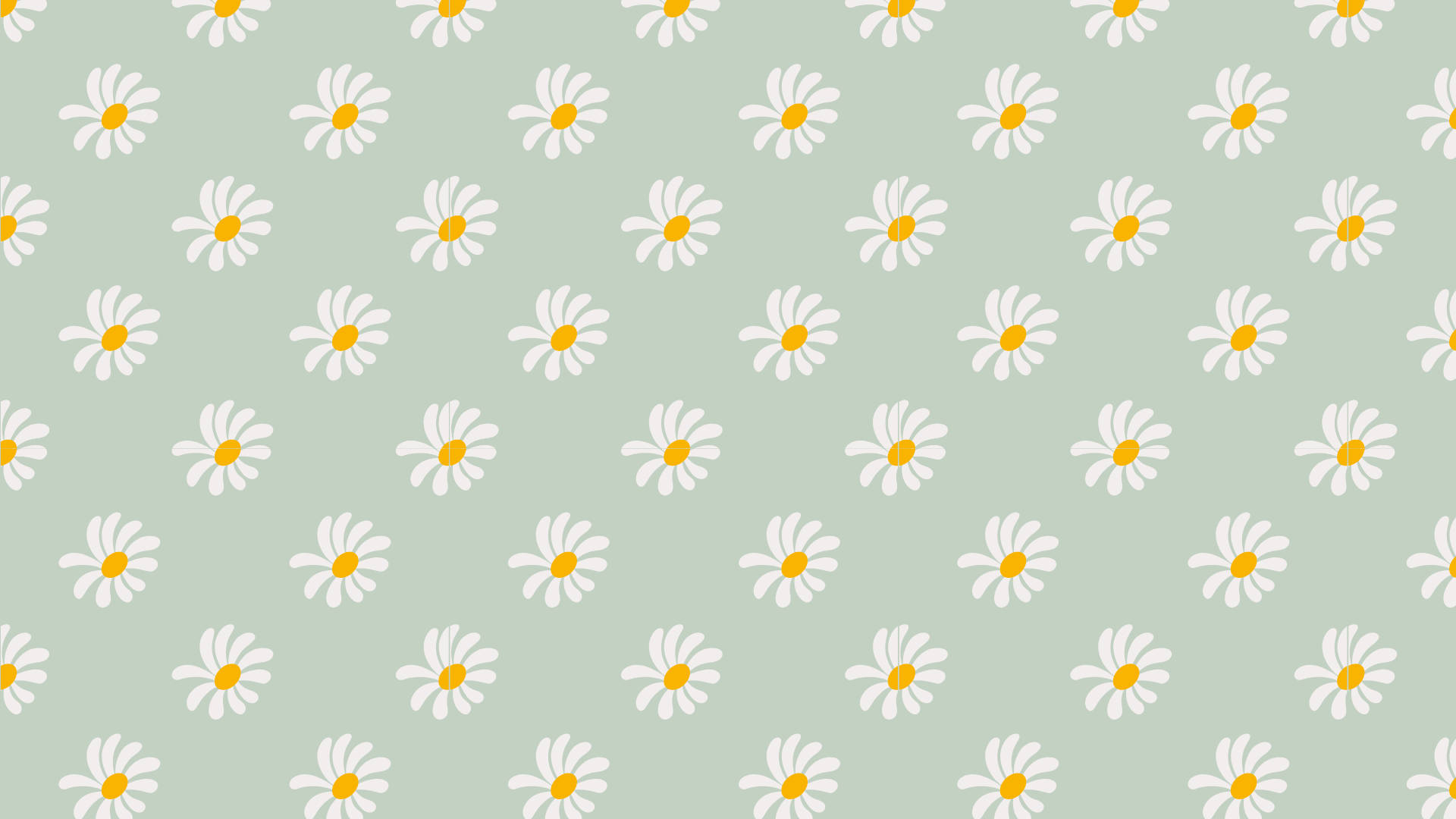 Gänseblümchensalbeigrün Desktop Wallpaper