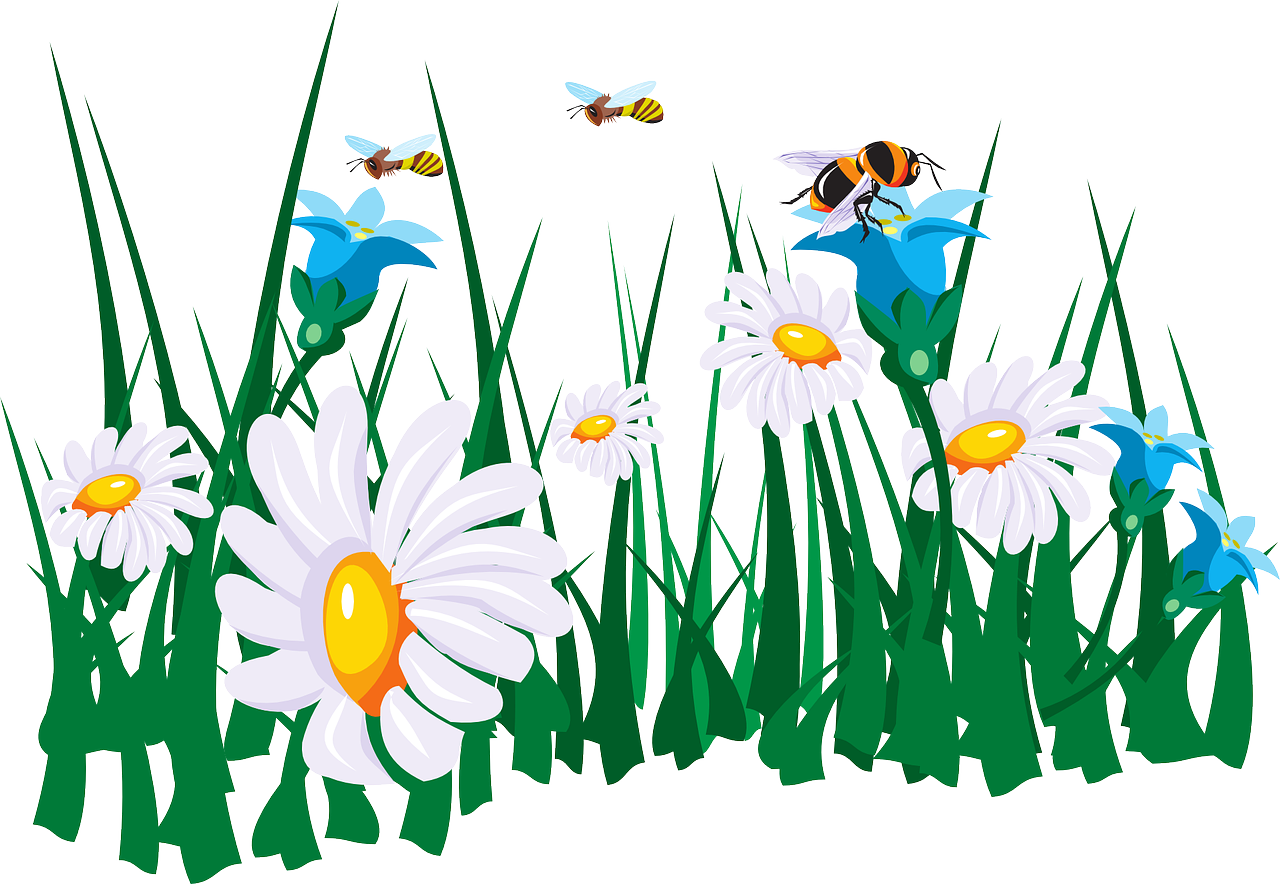 Daisiesand Bees Garden Illustration PNG