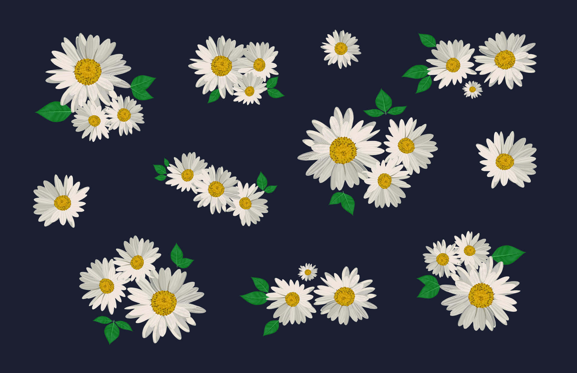Stay Ahead Of The Game With Daisy Aesthetic Wallpaper