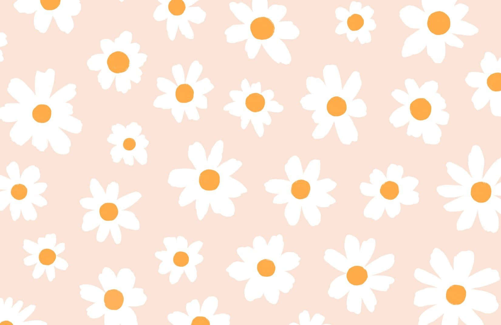 35 Pink Aesthetic Pictures : Pink Daisy Wallpaper - Idea Wallpapers ,  iPhone Wallpapers,Color Schemes