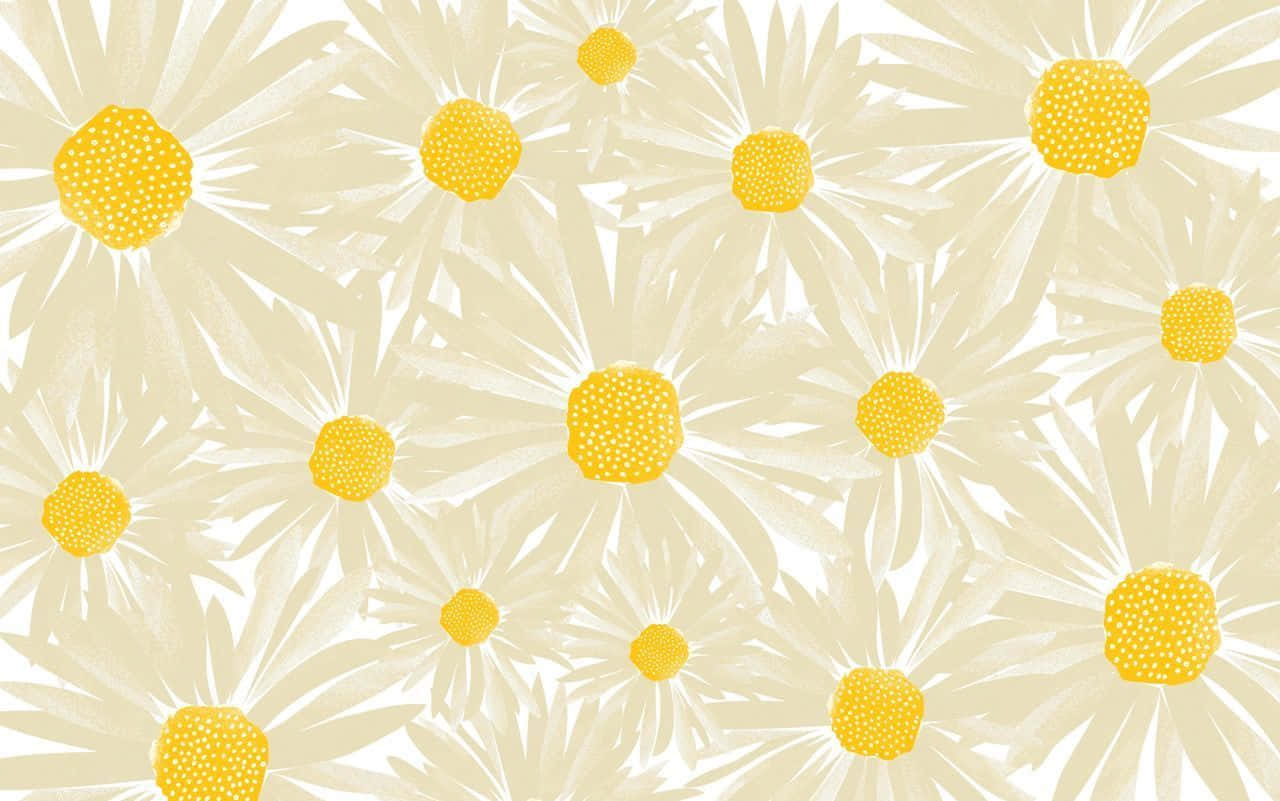 En hvid baggrund med gule margueritter Wallpaper