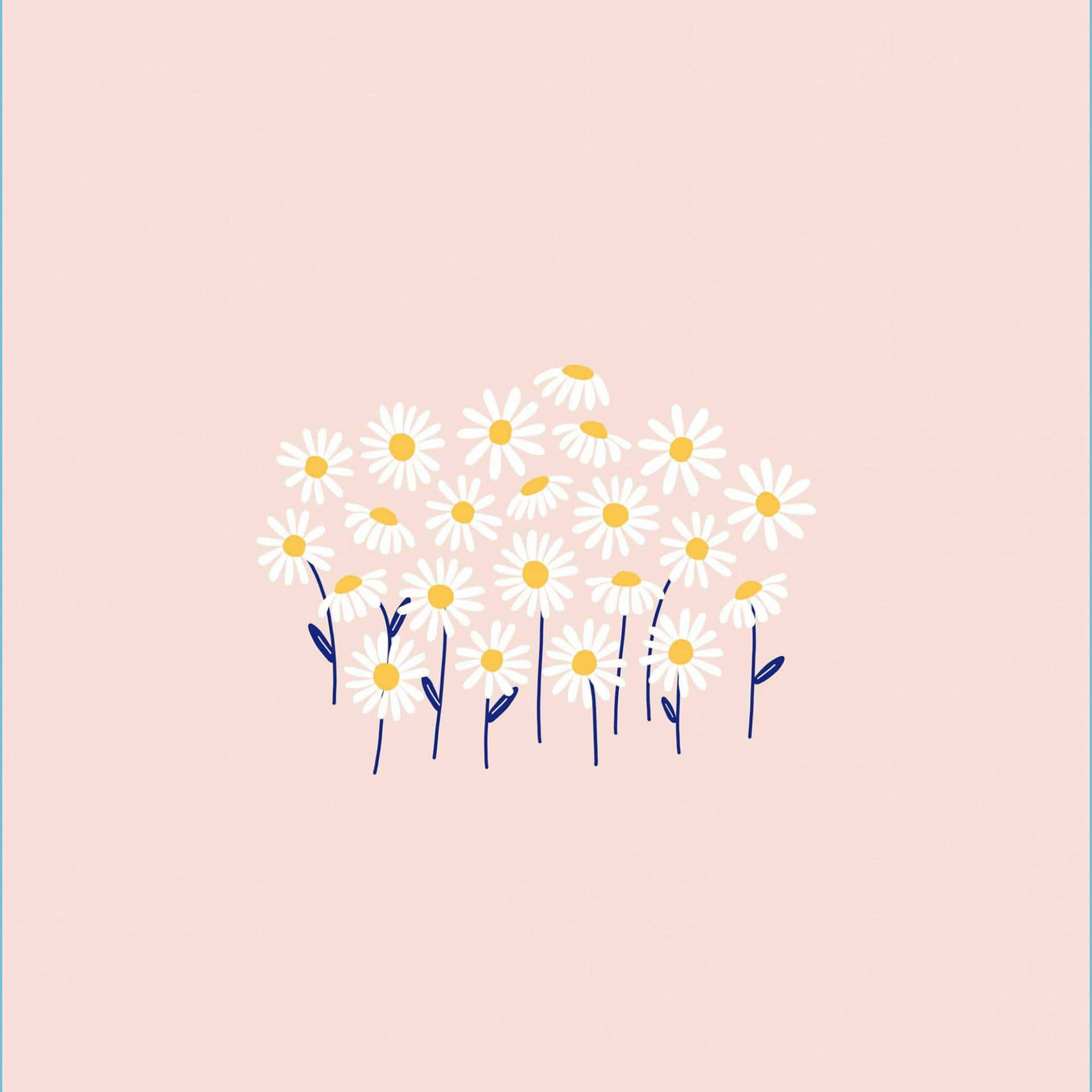 Simple Pink Daisy Aesthetic Computer Wallpaper