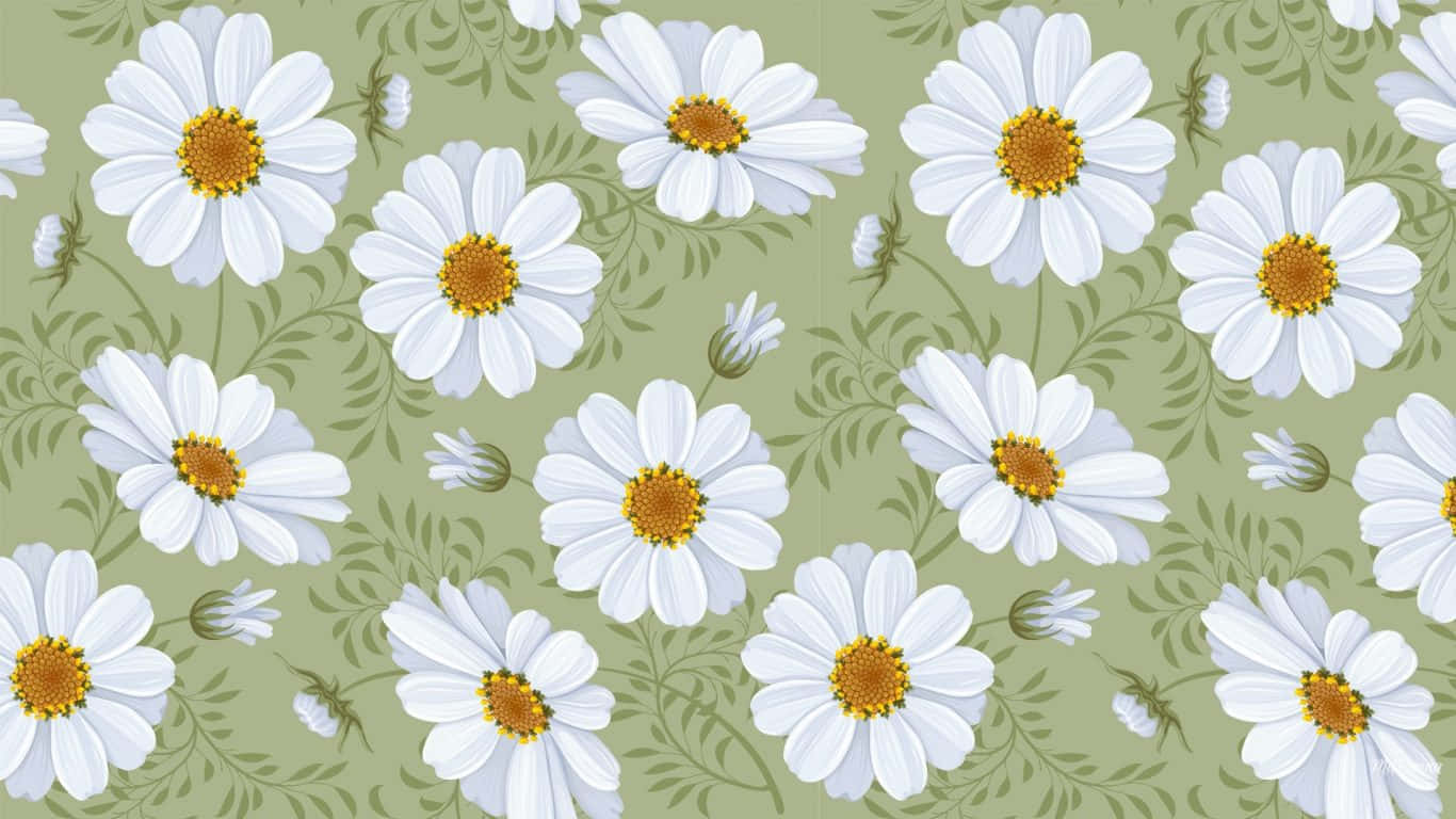 Daisy Aesthetic Computer Olive Green Wallpaper