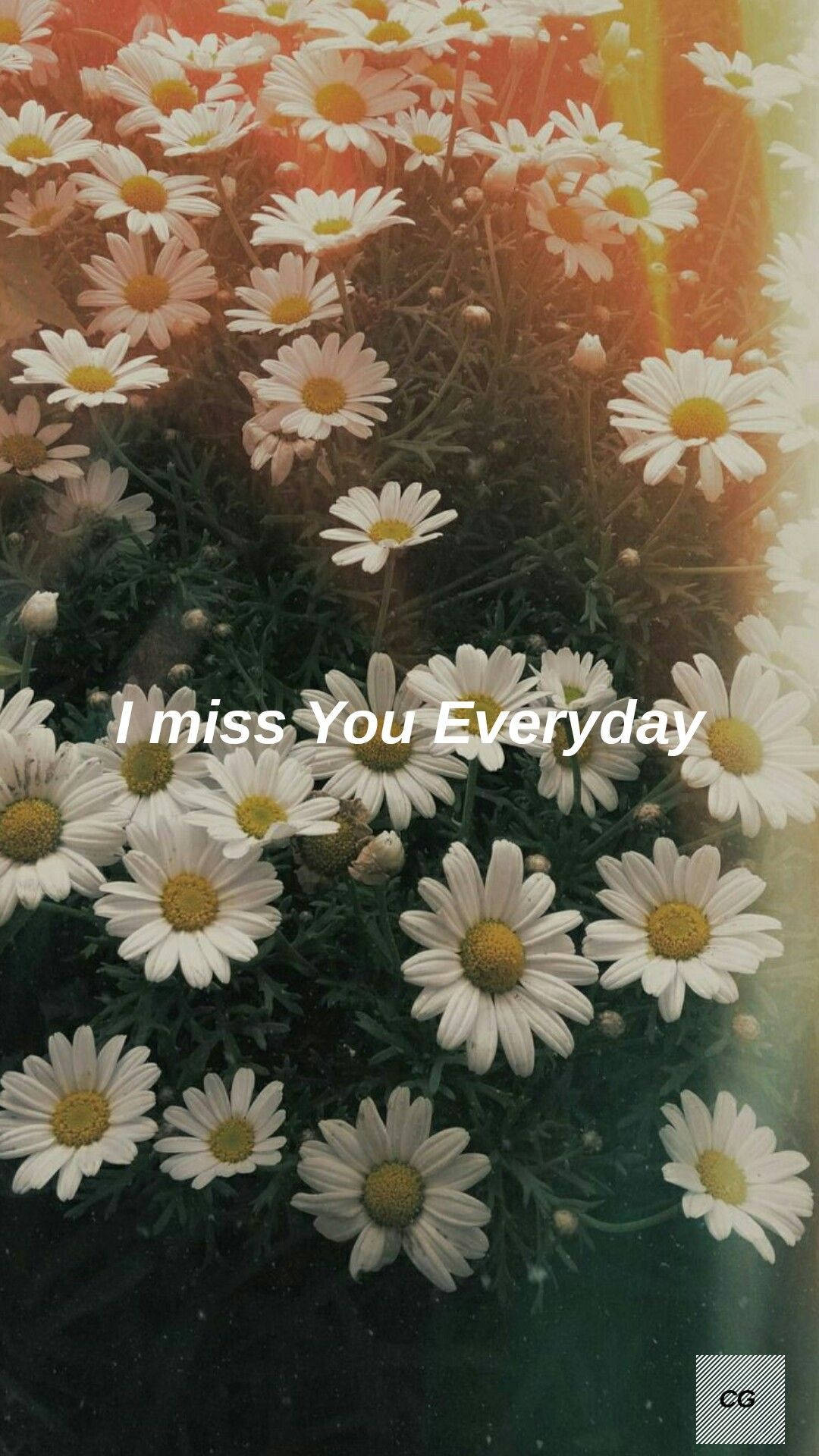 Daisy Aesthetic Miss You Everyday Wallpaper