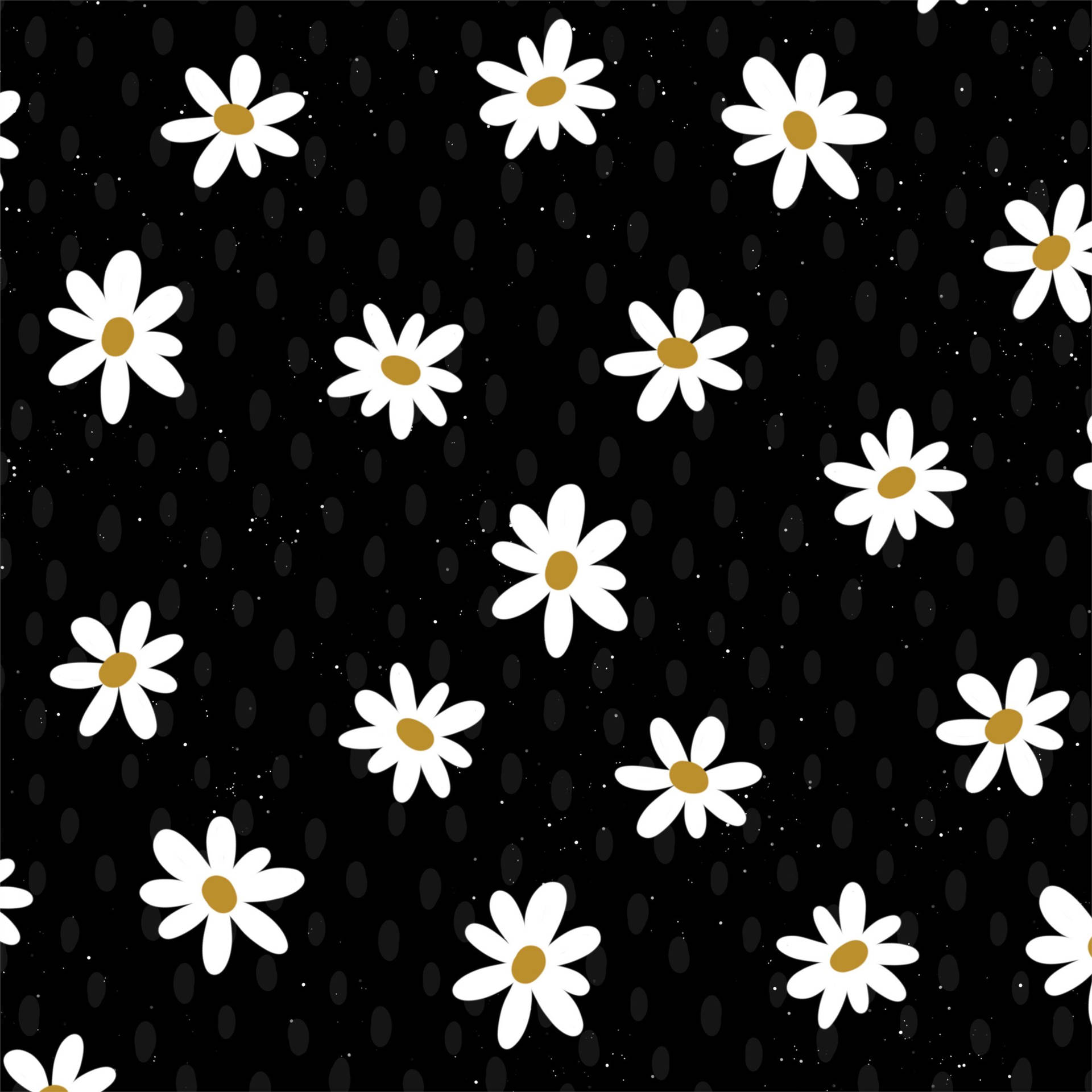Daisykunst 4k Wallpaper