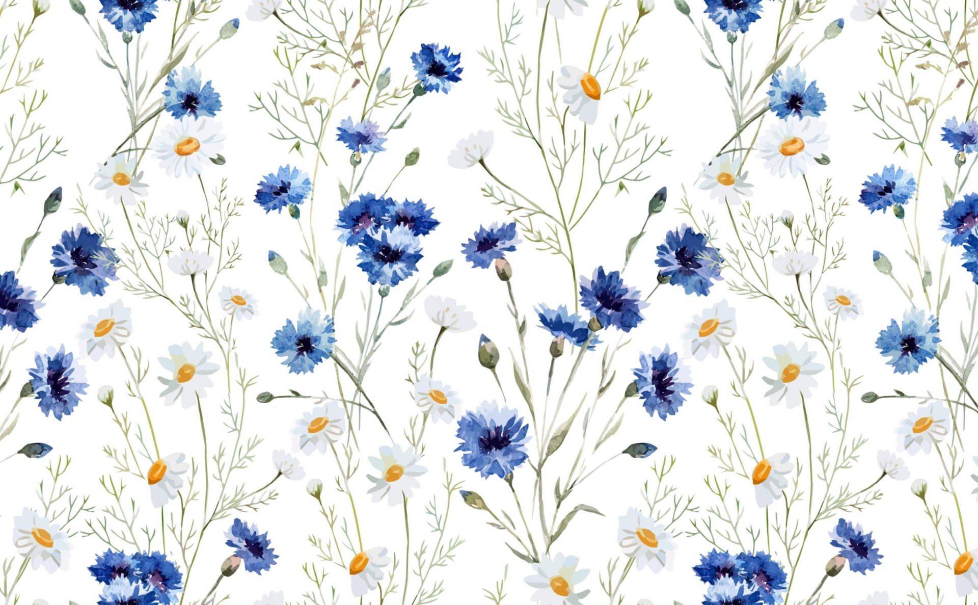 Daisykunst Frühlingsästhetik Wallpaper