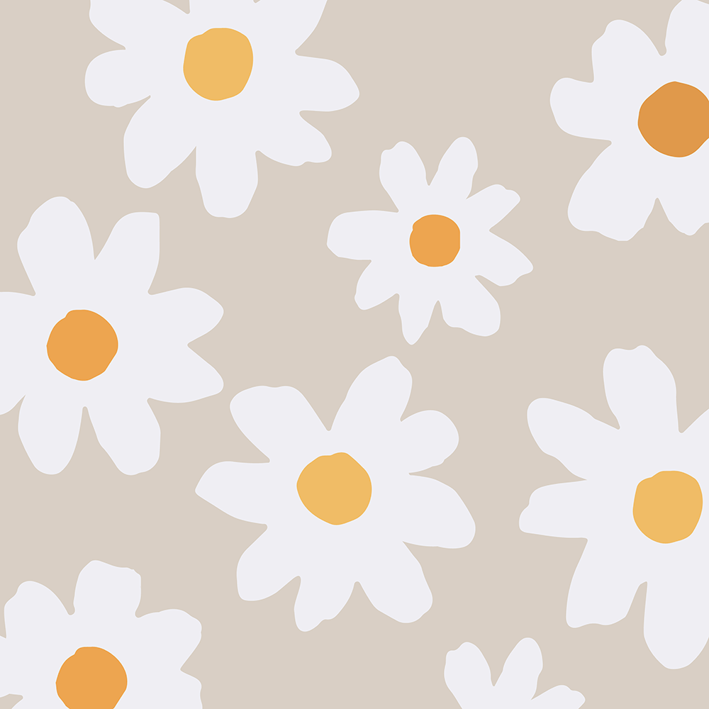 Download Daisy Background | Wallpapers.com