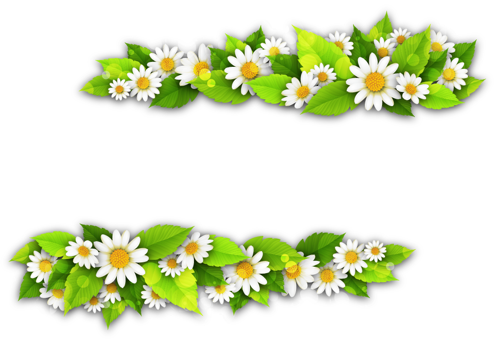 Daisy Chain Floral Frame PNG
