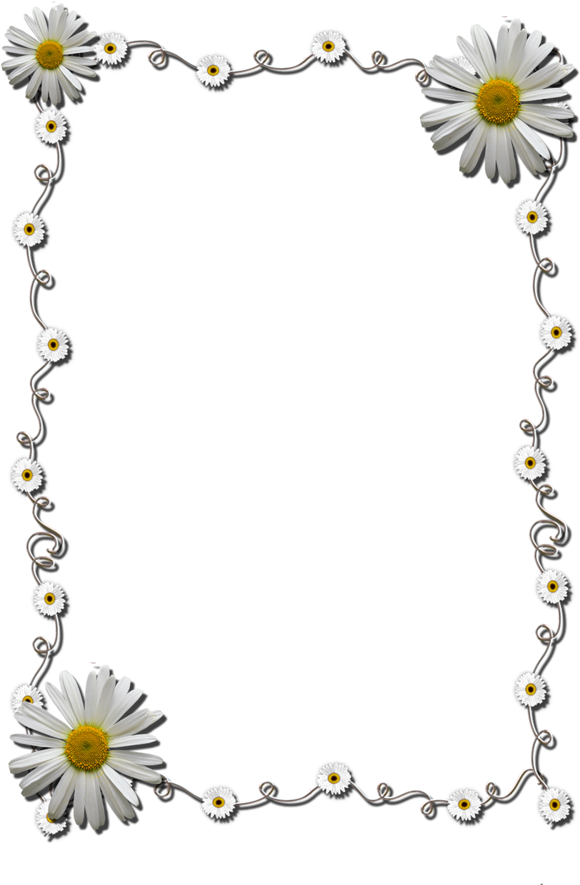 Daisy Chain Photo Frame PNG