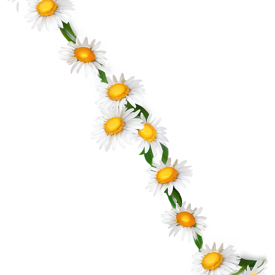 Daisy Chain Png Ufd PNG