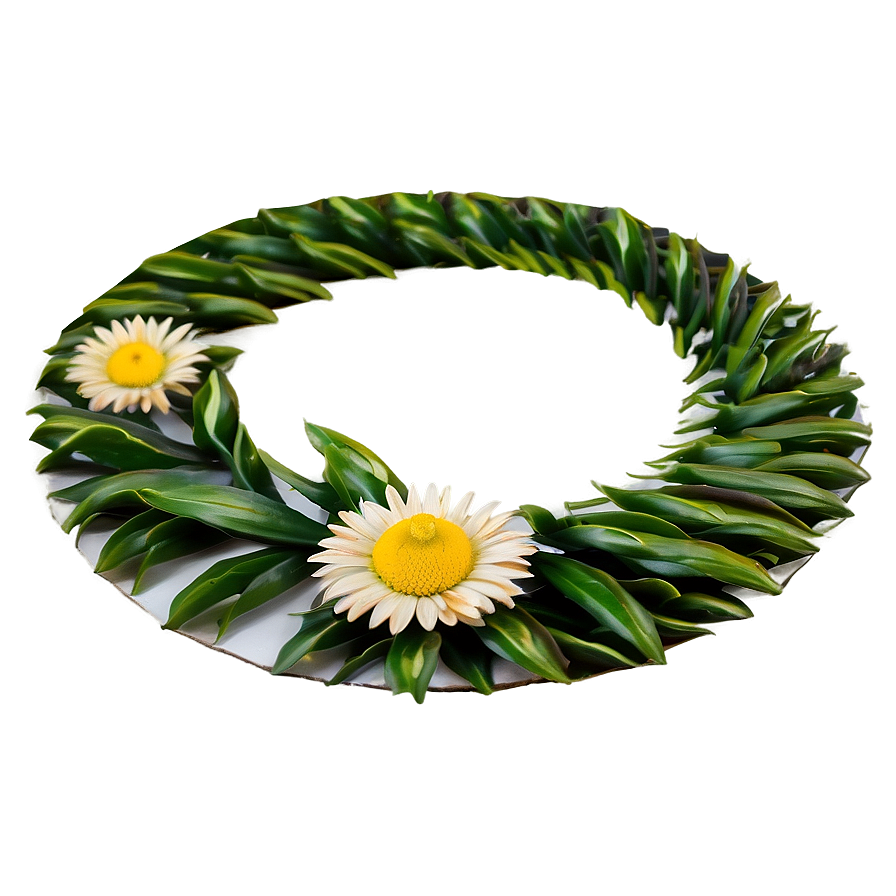 Daisy Circle Png 06252024 PNG