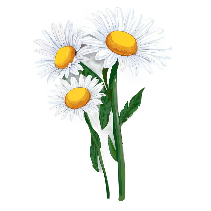 Download Daisy Drawing Png 6 | Wallpapers.com