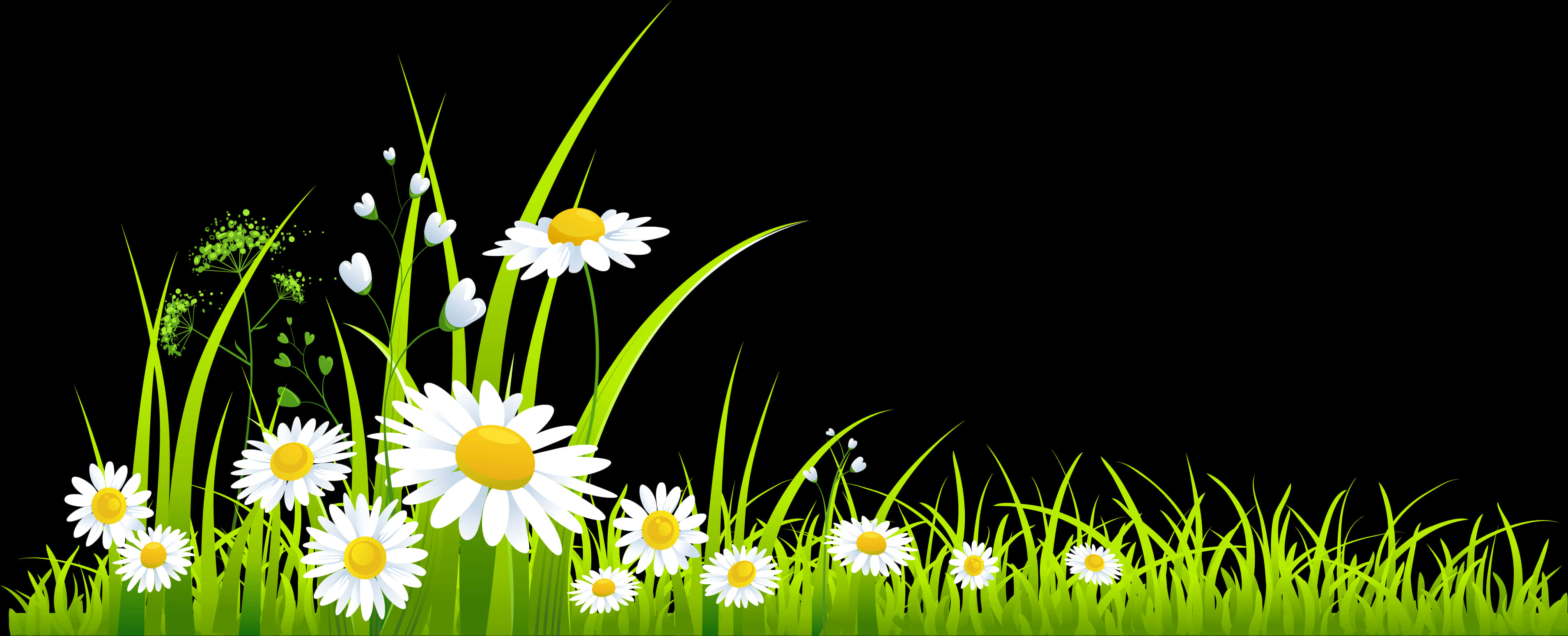 Daisy Flower Grass Border Graphic PNG