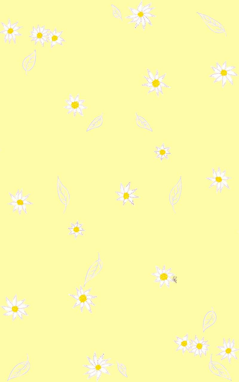 Daisy Flowers Over Cute Pastel Yellow Aesthetic Wallpaper