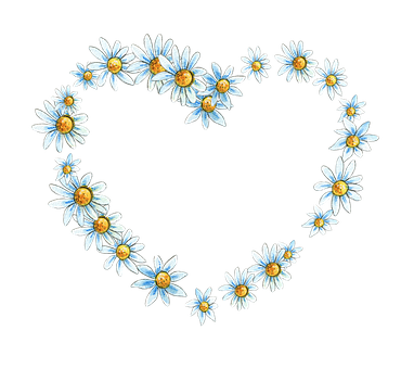 Download Daisy Heart Formation Black Background | Wallpapers.com