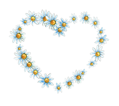 Daisy Heart Formation Black Background PNG