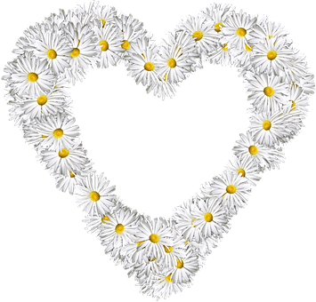 Daisy Heart Shape PNG