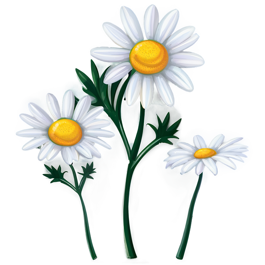 Download Daisy Illustration Png 16 | Wallpapers.com