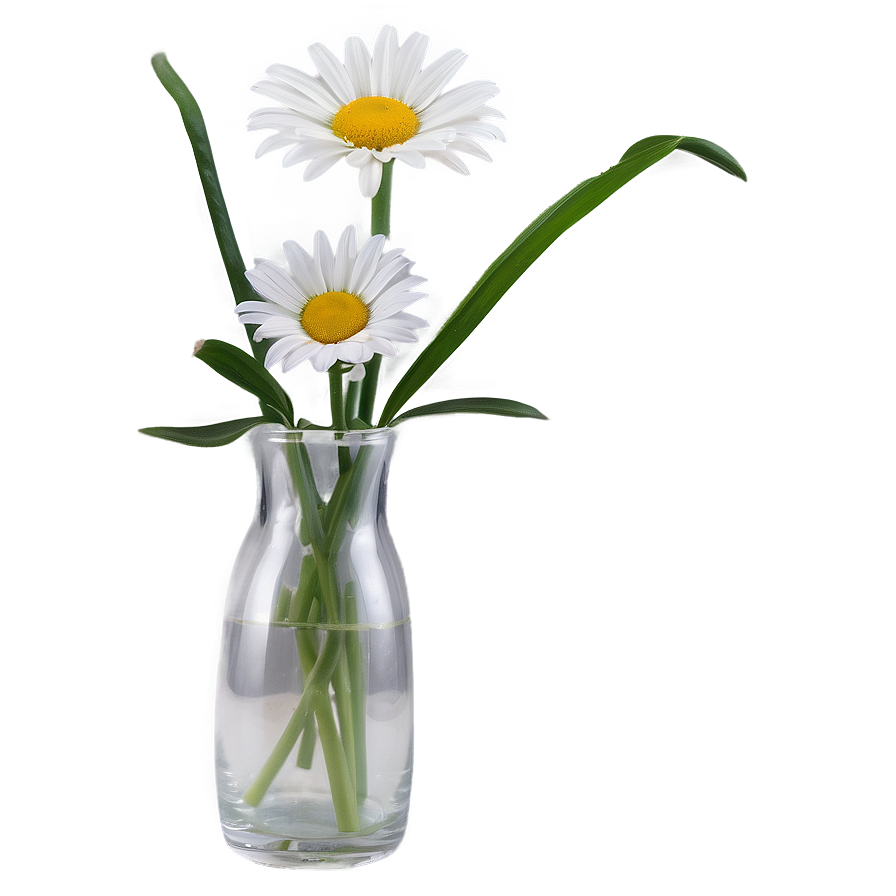 Daisy In Vase Png Moh PNG