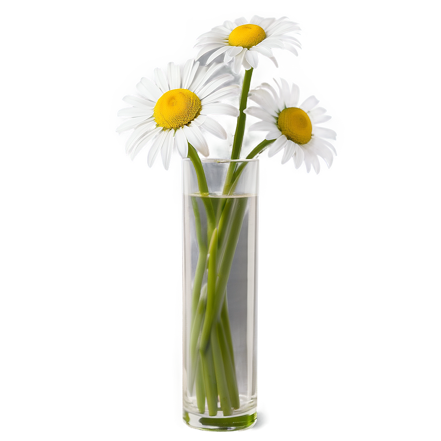Daisy In Vase Png Qqy34 PNG