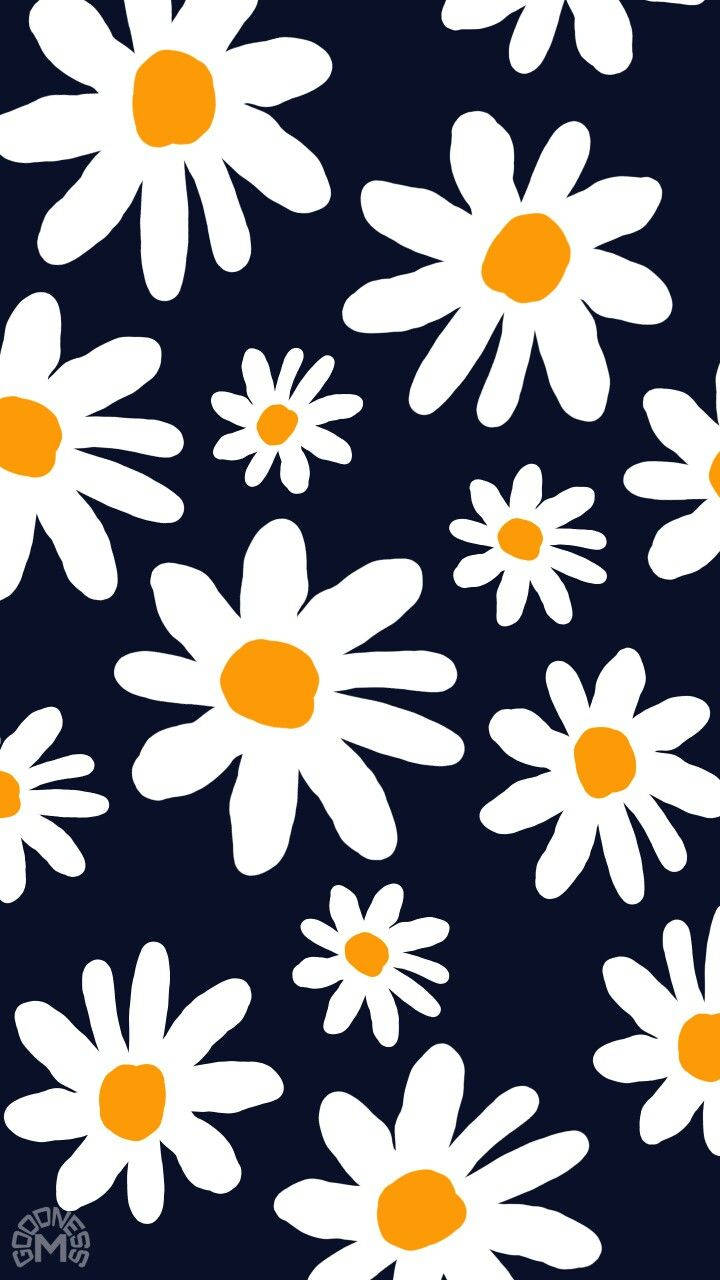Download Daisy Iphone In Dark Blue Background Wallpaper | Wallpapers.com
