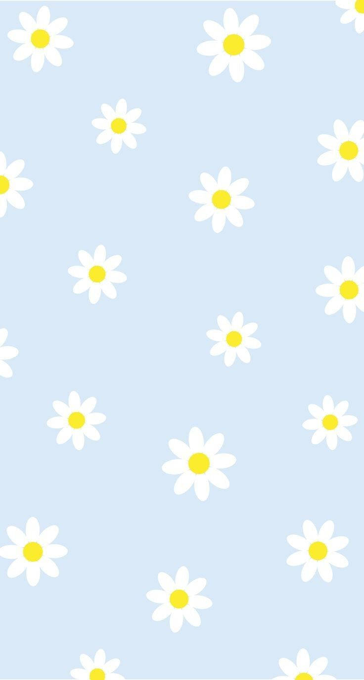 Daisy Iphone Patterns On Pastel Blue Wallpaper