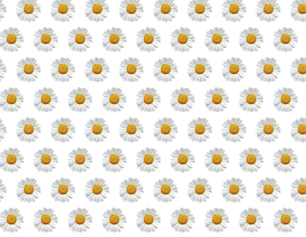 Daisy Pattern Black Background PNG