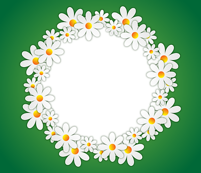 Daisy_ Wreath_ Green_ Background PNG