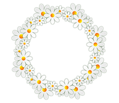 Daisy_ Wreath_on_ Black_ Background PNG