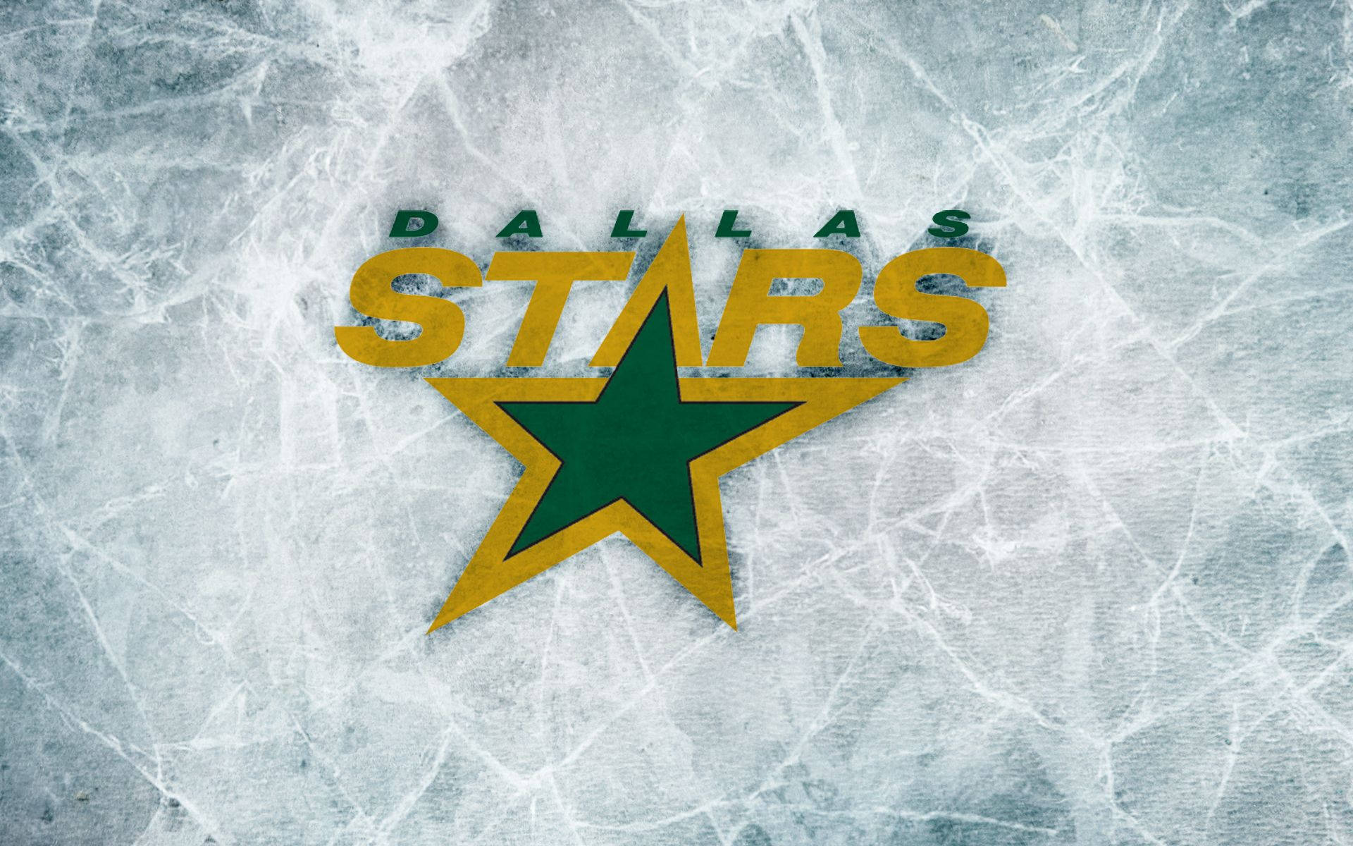Dallas Stars Ice Rink Logo