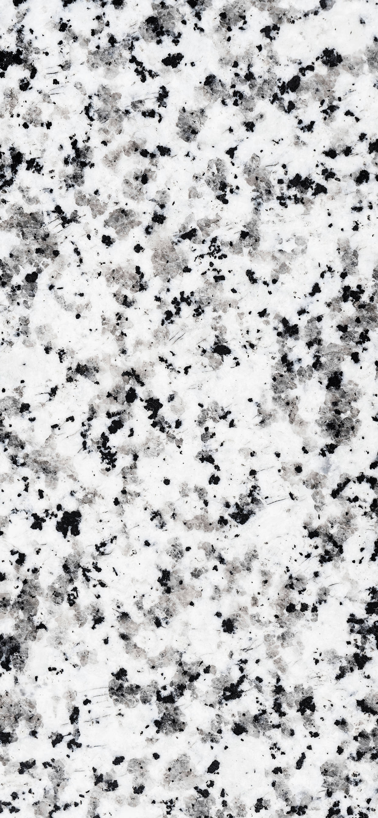 Dalmatian Black White Marble Iphone Wallpaper