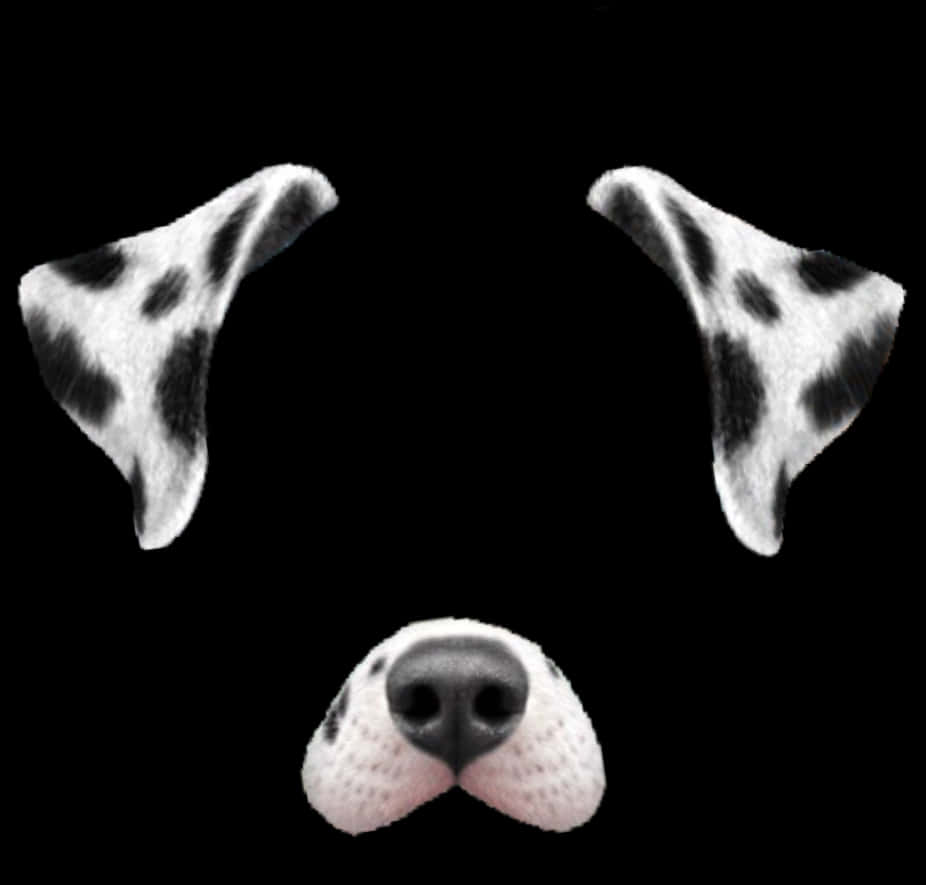 Dalmatian Dog Filter Elements PNG