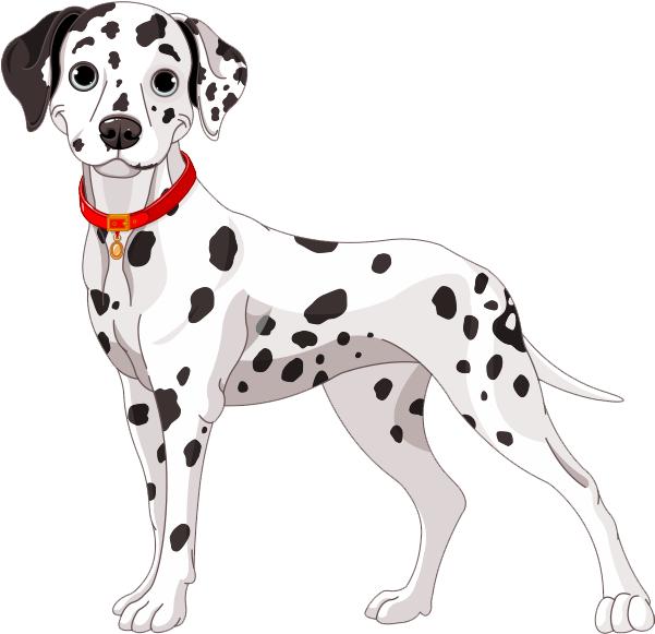 Dalmatian Dog Illustration PNG