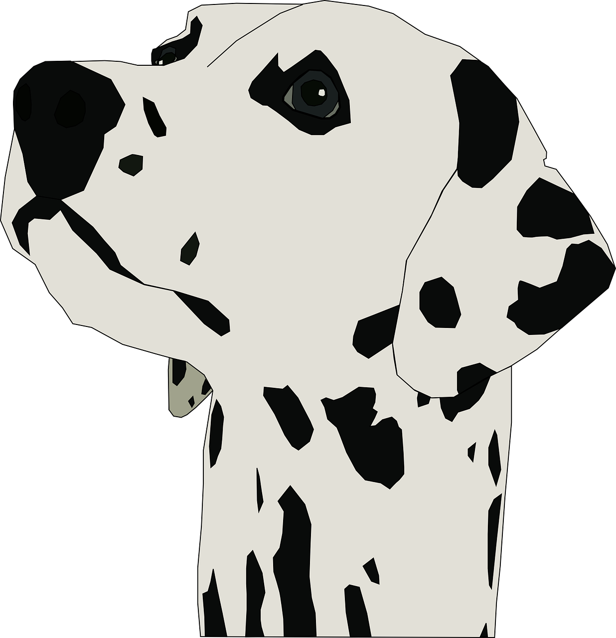 Dalmatian Dog Illustration PNG