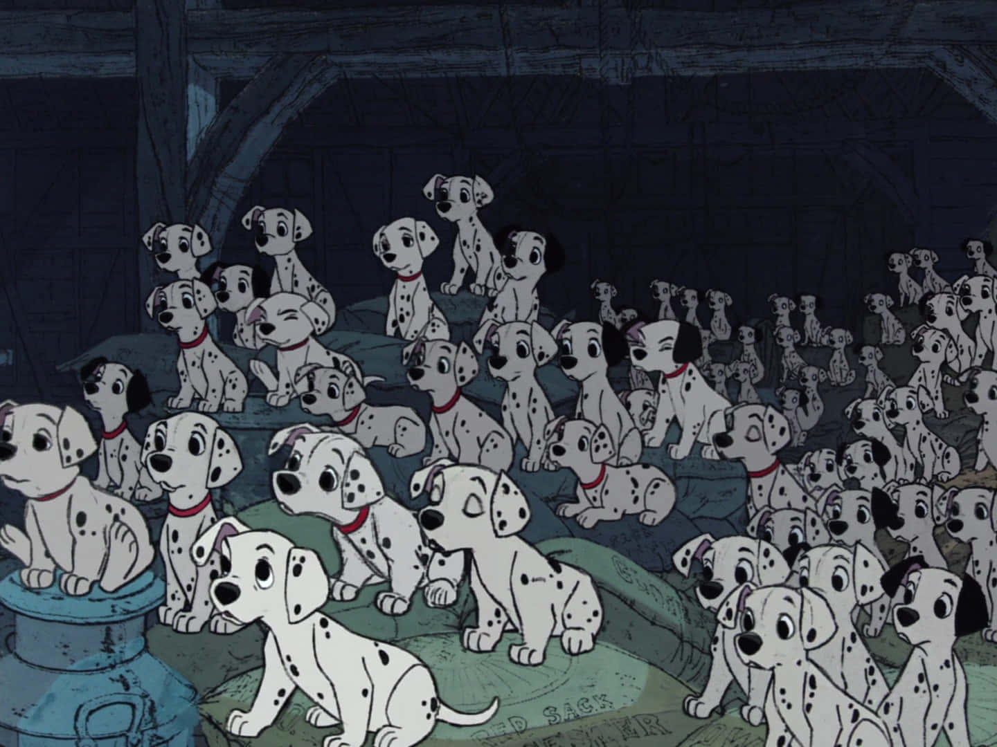 A Group Of Dalmatian Dogs In A Room