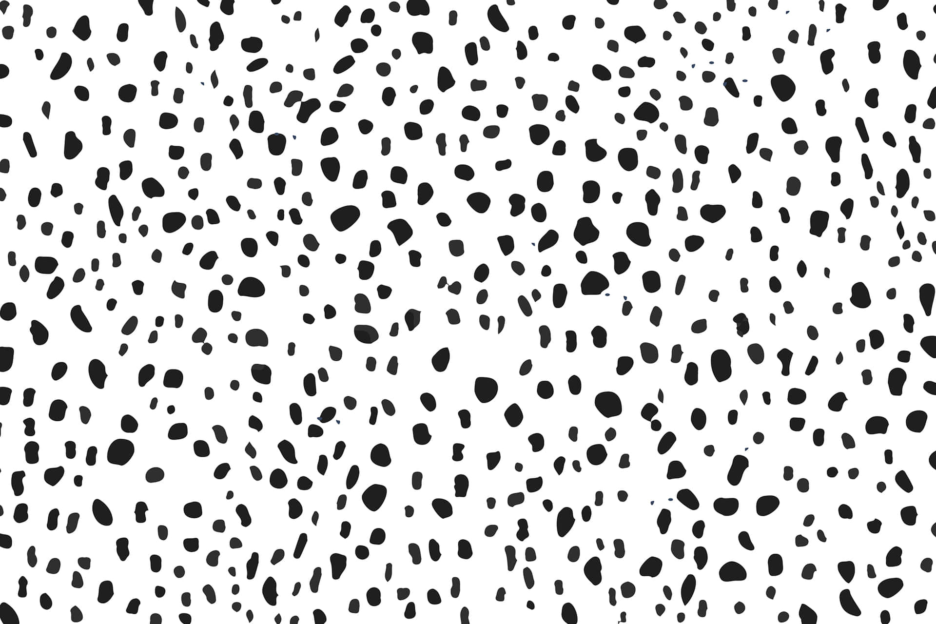 A Black And White Pattern With Dots Wallpaper