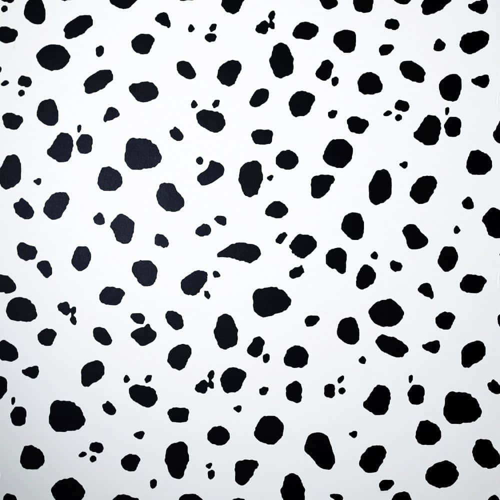 A Black And White Spotted Wallpaper Wallpaper