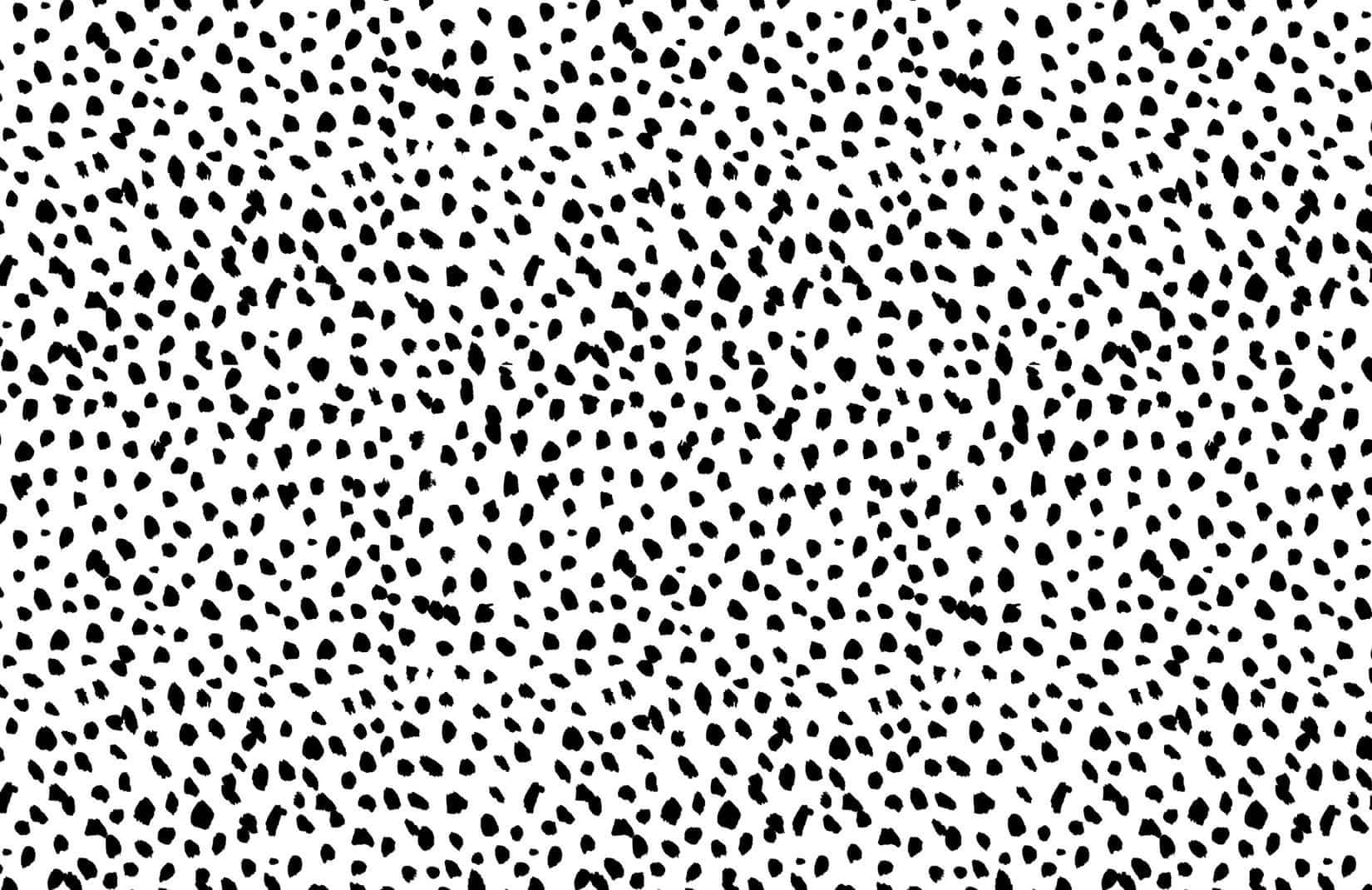 Dalmatian Print Tiny Black Dots Wallpaper