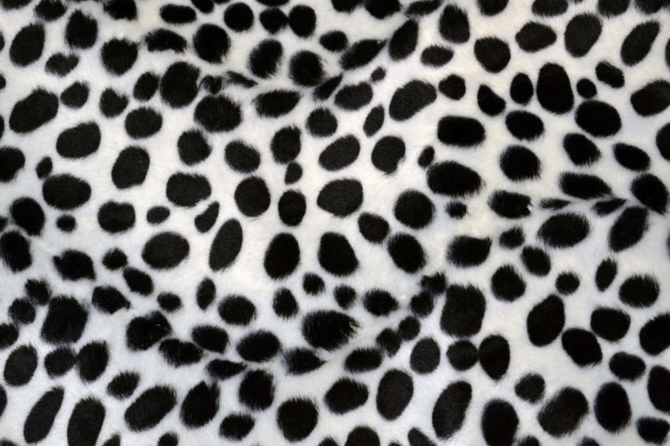 Dalmatianenmusterplüschstofftextur Wallpaper